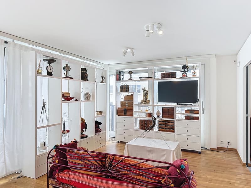 Superbe appartement traversant avec vue imprenable à Carouge (2)
