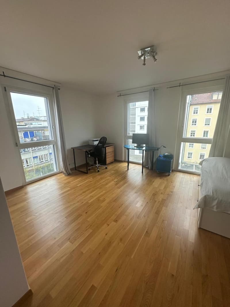 Superbe appartement traversant avec vue imprenable à Carouge (3)