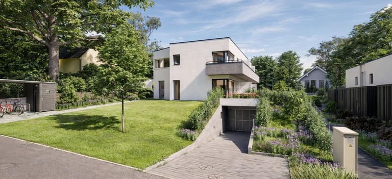 Superbe maison au coeur de Vernier (2)
