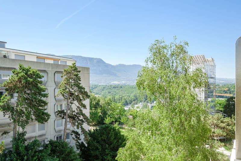 A louer: Magnifique appartement rénové avec vue panoramique (9)