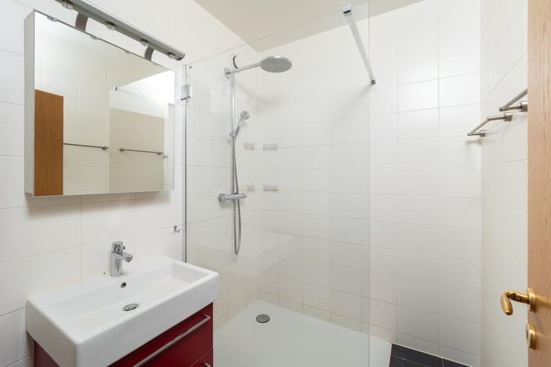 Élégant appartement traversant à Trembley (7)