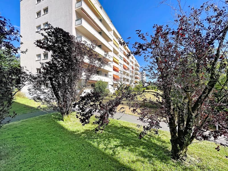 Appartement vue lac & Mont-Blanc (2)