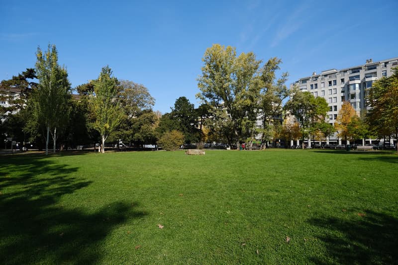 Superbe appartement traversant à Carouge (4)