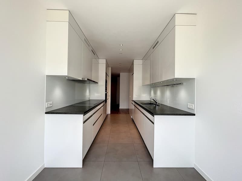 Magnifique appartement à deux pas du centre ville sur Grange-Canal (3)
