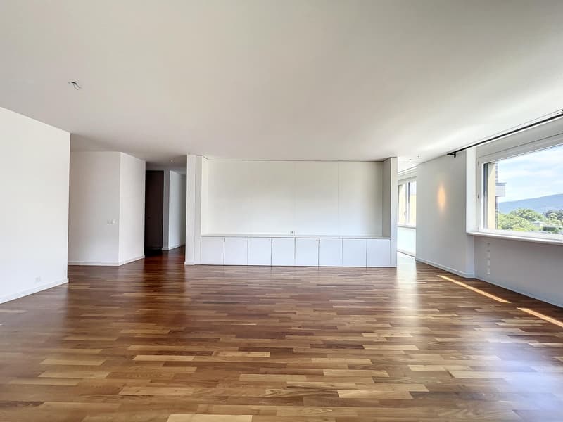 Magnifique appartement à deux pas du centre ville sur Grange-Canal (2)