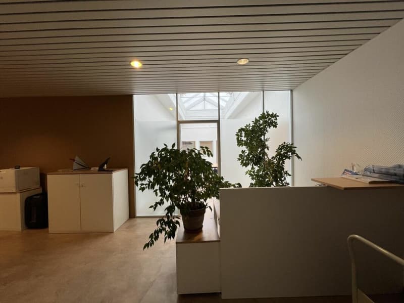 Rendement brut escompté de 8.69 % - Bureaux/commercial de 652 m² (3)