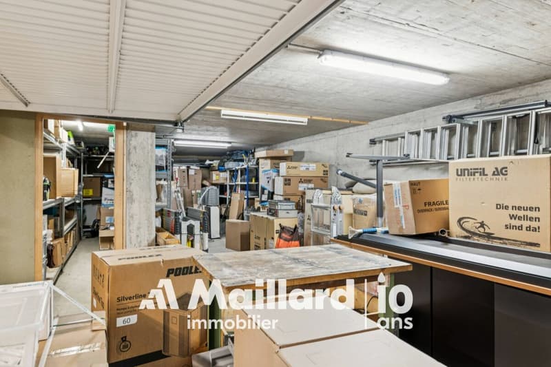 Espace professionnel d'exception avec vaste terrasse privative à Bogis-Bossey (13)