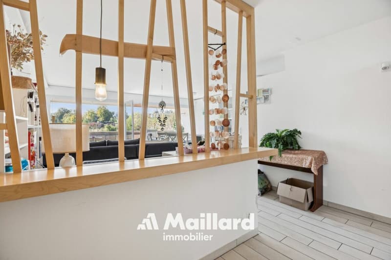 Appartement de 3.5 pièces vue lac - Idéal pour investissement (6)