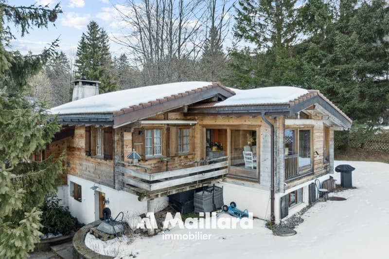Charmant chalet de 5.5 pièces (1)