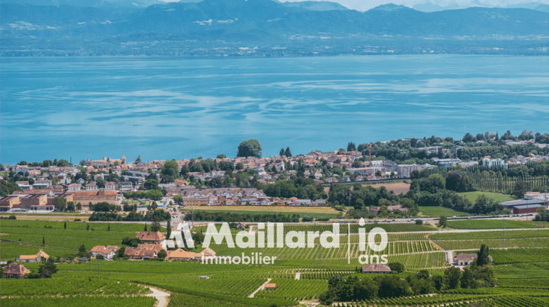 Villa d'architecte - Vue panoramique sur le lac ! (17)