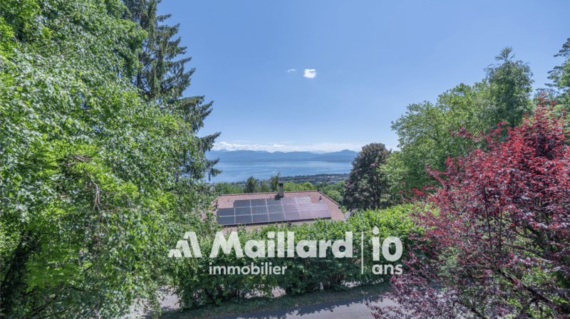 Villa d'architecte - Vue panoramique sur le lac ! (14)