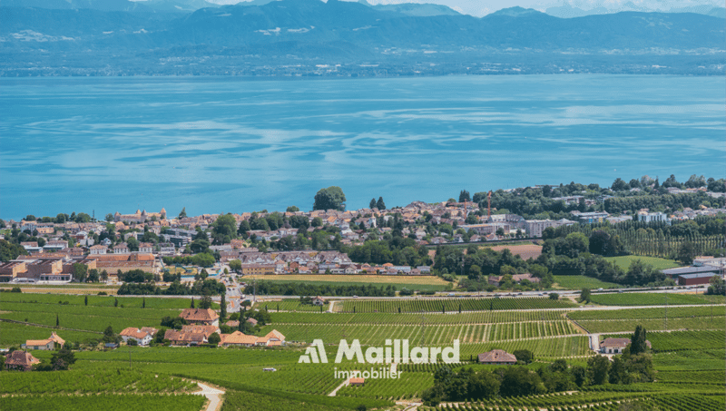Villa d'architecte - Vue panoramique sur le lac ! (23)