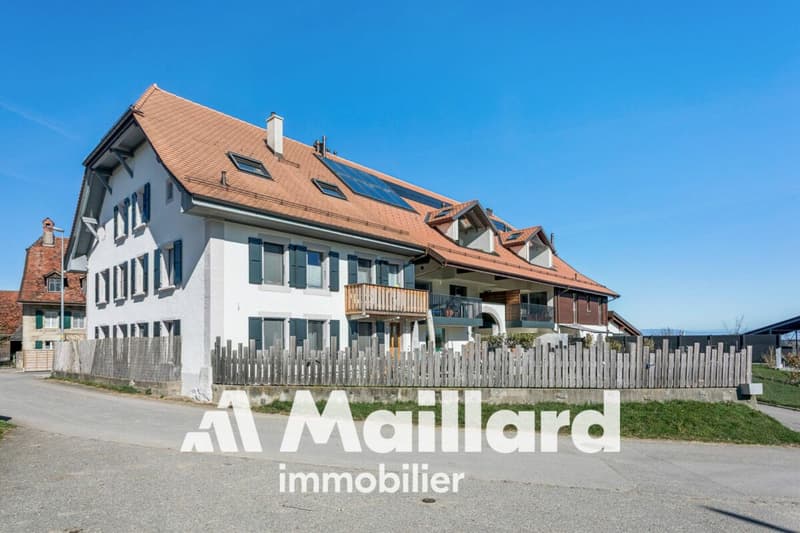 Appartement neuf (10)