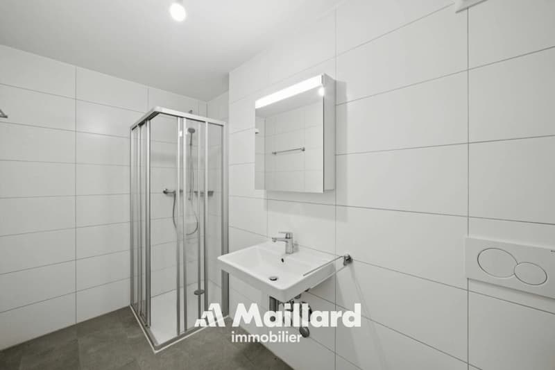 Superbe appartement neuf de 4.5 pièces avec loggia de 15 m² (8)