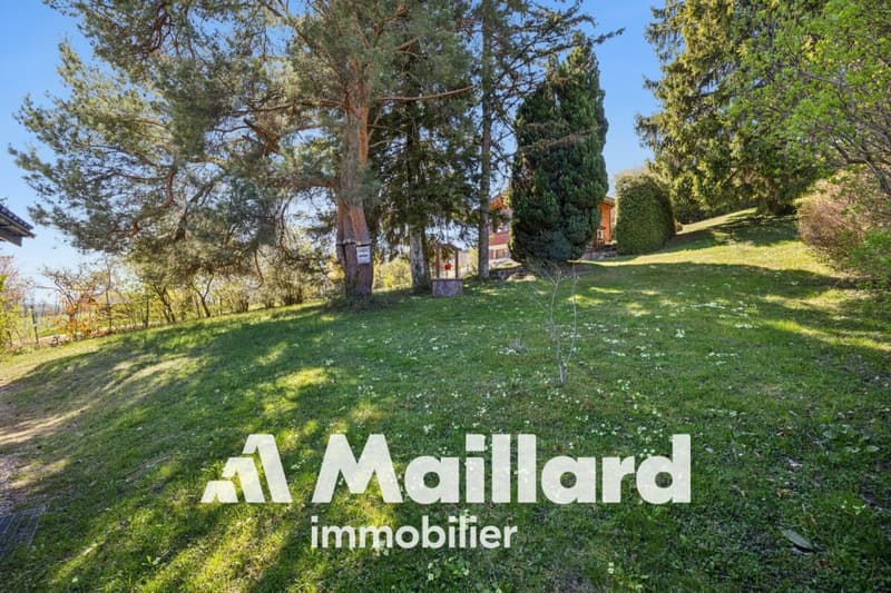 Charmant chalet individuel sur parcelle arborisée de 1'407 m² (12)