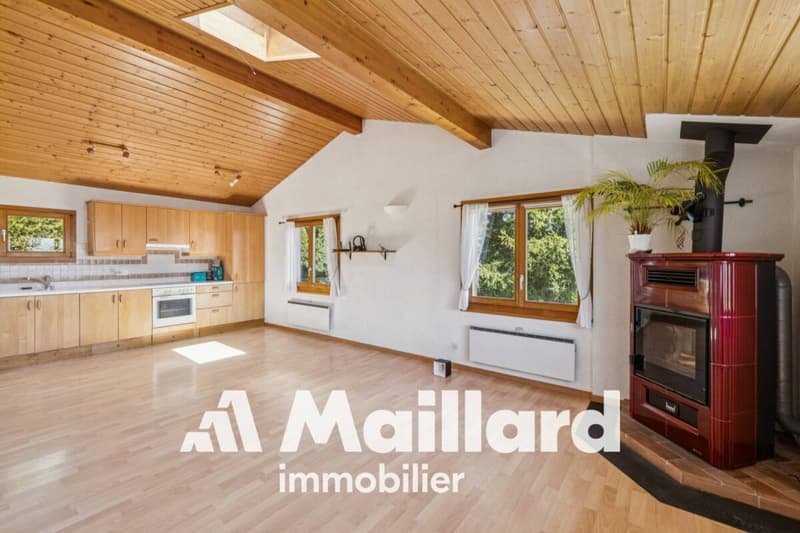 Charmant chalet individuel sur parcelle arborisée de 1'407 m² (4)