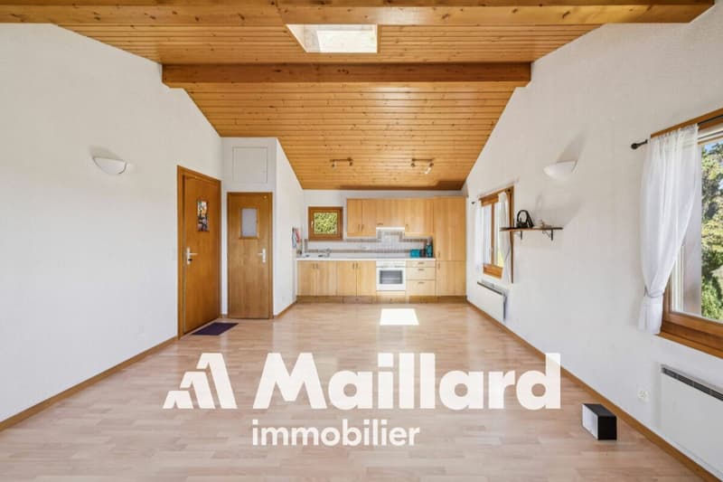 Charmant chalet individuel sur parcelle arborisée de 1'407 m² (5)