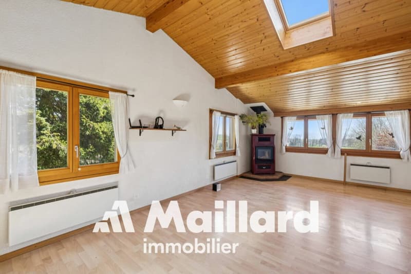 Charmant chalet individuel sur parcelle arborisée de 1'407 m² (6)