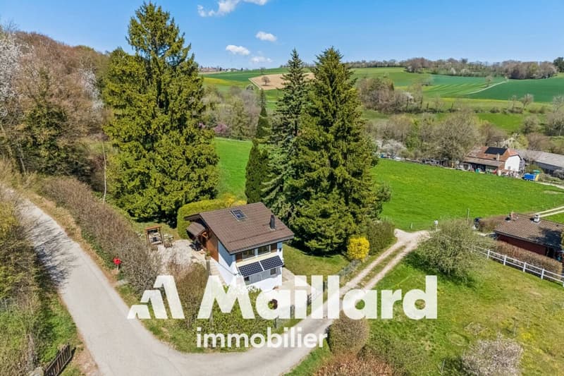 Charmant chalet individuel sur parcelle arborisée de 1'407 m² (2)
