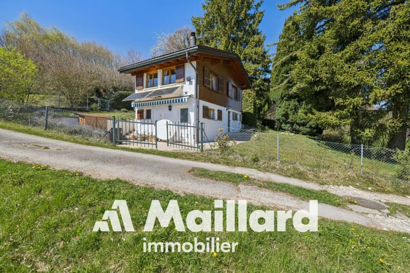 Charmant chalet individuel sur parcelle arborisée de 1'407 m² (13)