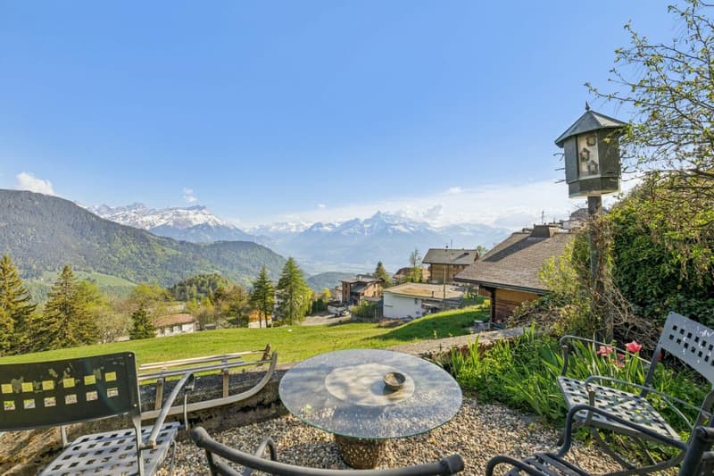 Appartement de 2.5 pièces - Rez Terrasse (9)
