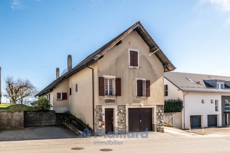 Charmante maison individuelle de type villageois (3)