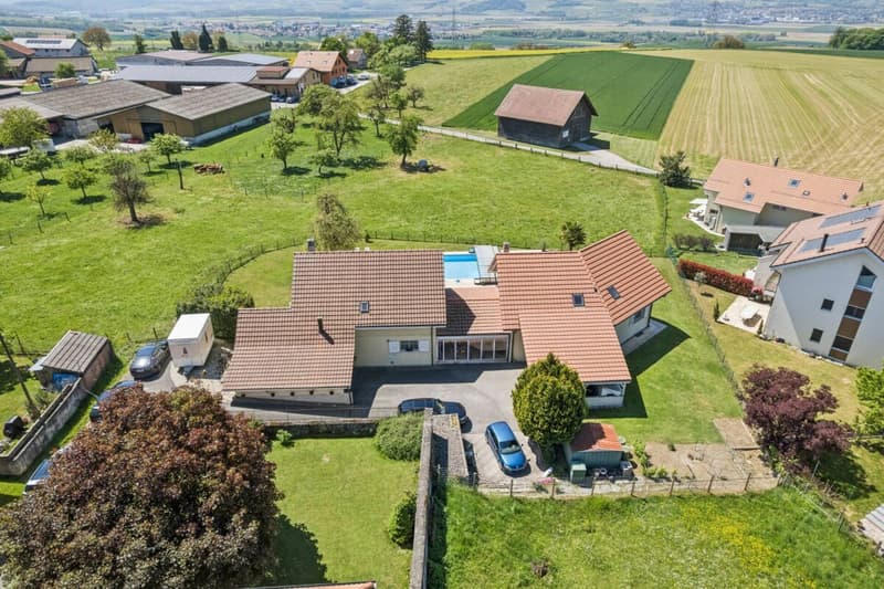 Suchy - Villa semi-individuelle (17)
