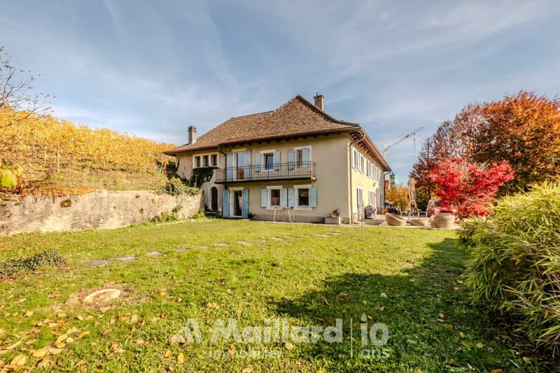 Magnifique bâtisse du XVIII? siècle de 6.5 pièces avec jardin (2)
