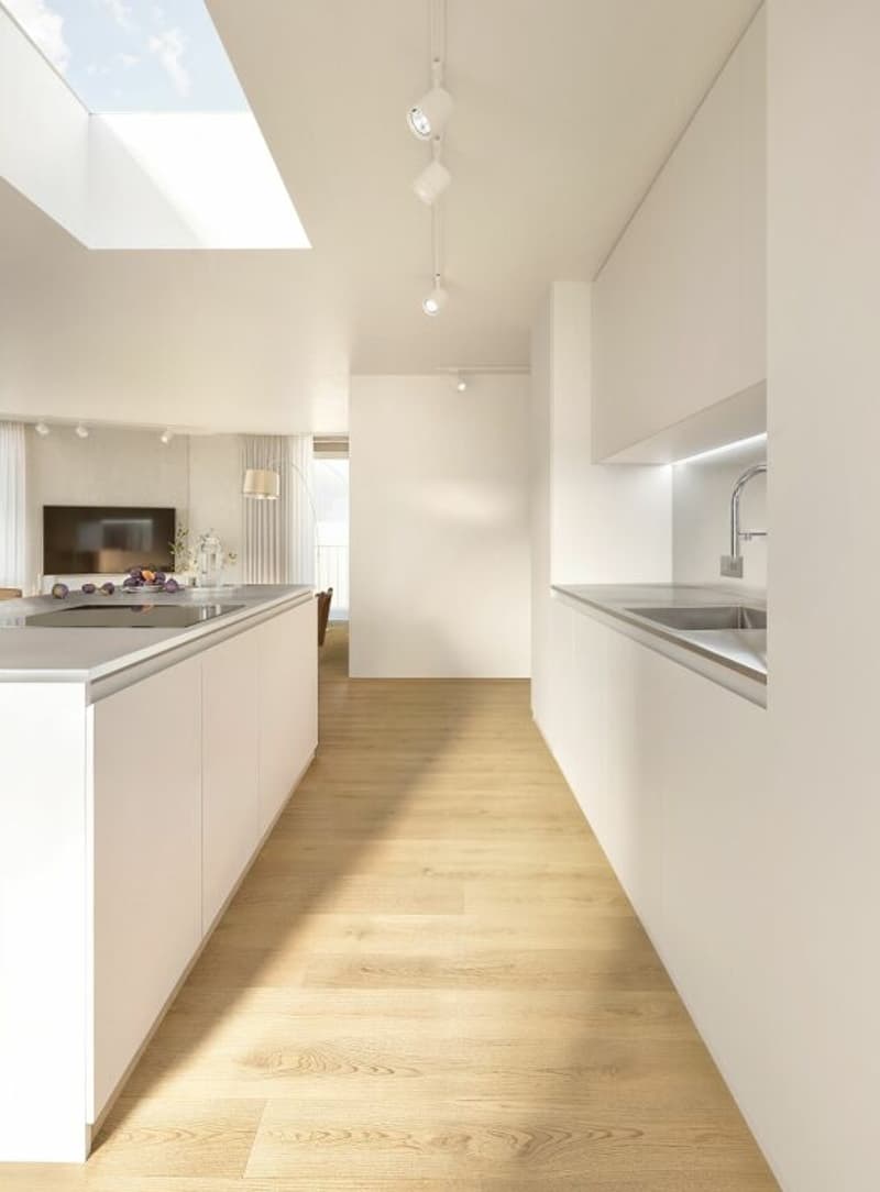 Magnifique et spacieux attique neuf avec grande terrasse de 96 m2 (13)