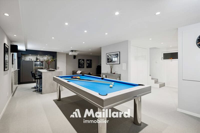 Magnifique villa contemporaine à Founex (15)