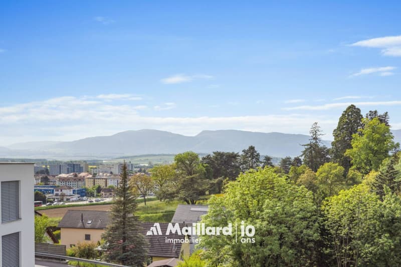 Yverdon - Magnifique appartement de 4.5 pièces (2)