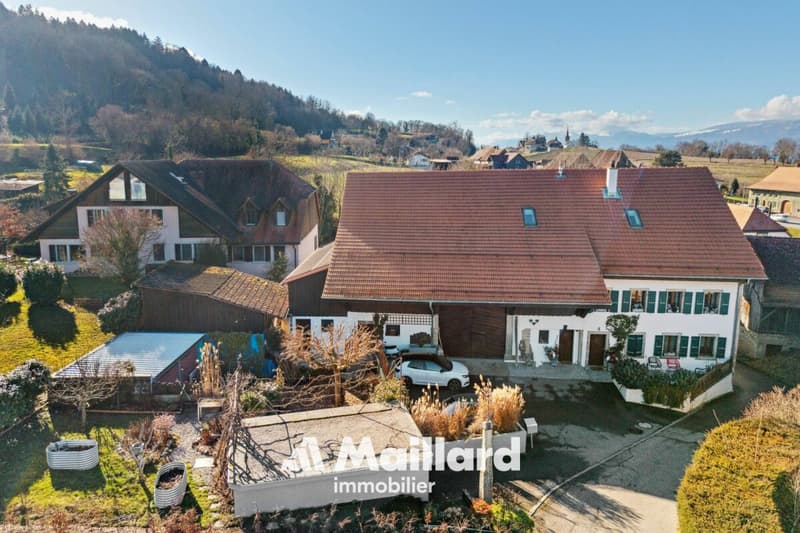 Authentique ferme plurifamiliale rénovée avec goût (16)