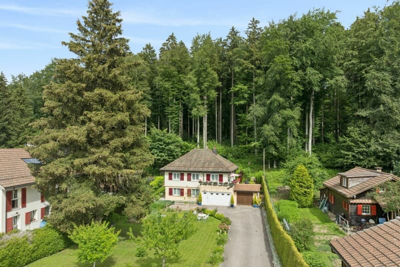 Maison individuelle en lisière de forêt (2)