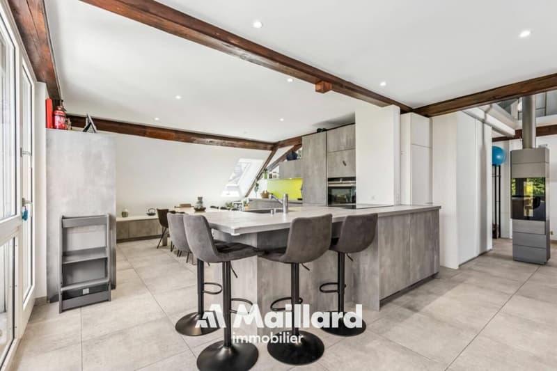Spacieux duplex avec jardin privatif et places de parc (7)