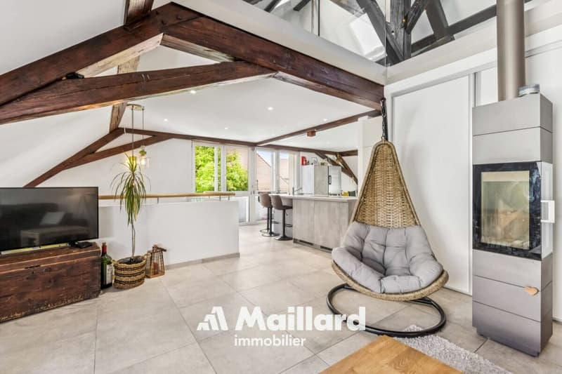 Spacieux duplex avec jardin privatif et places de parc (4)