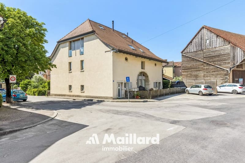 Spacieux duplex avec jardin privatif et places de parc (22)