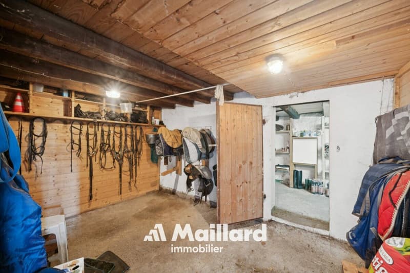 ORBE - Chalet de 3 pièces sur terrain de 1'400 m² (17)