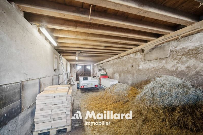 ORBE - Chalet de 3 pièces sur terrain de 1'400 m² (20)