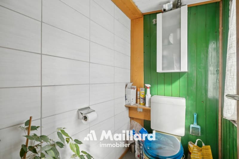 ORBE - Chalet de 3 pièces sur terrain de 1'400 m² (14)
