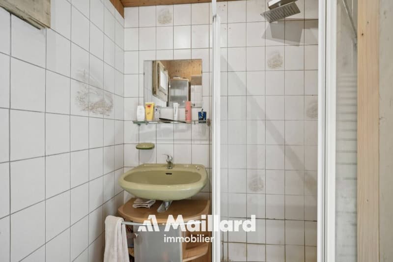 ORBE - Chalet de 3 pièces sur terrain de 1'400 m² (13)