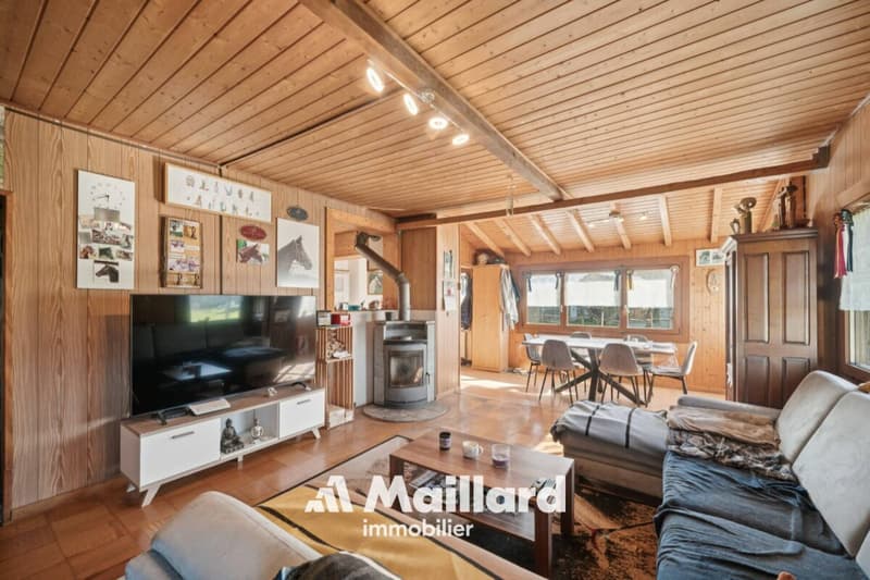 ORBE - Chalet de 3 pièces sur terrain de 1'400 m² (9)