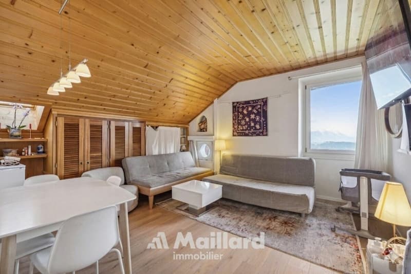 Ambiance cosy pour cet appartement de 3.5 pièces avec vue grandiose! (1)