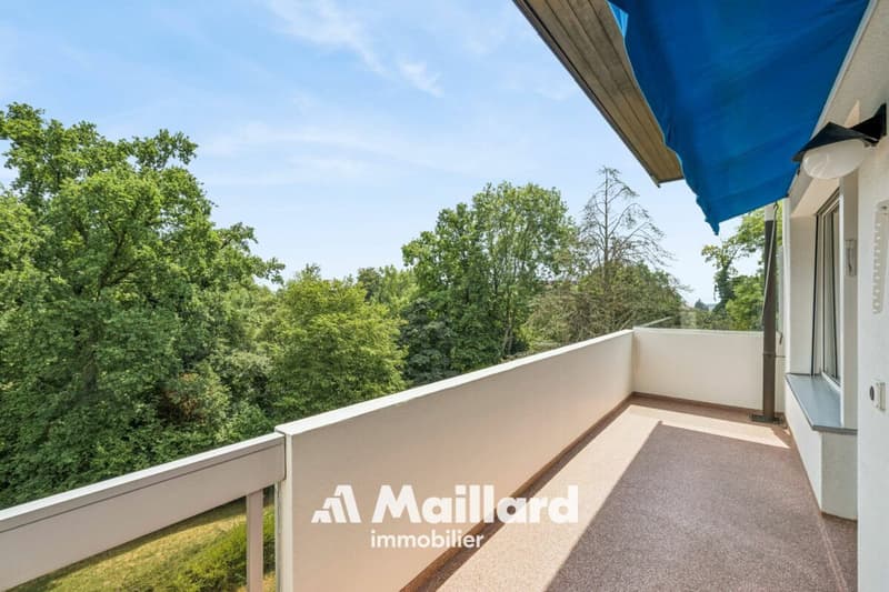 Appartement sans vis-à-vis à Crissier (1)