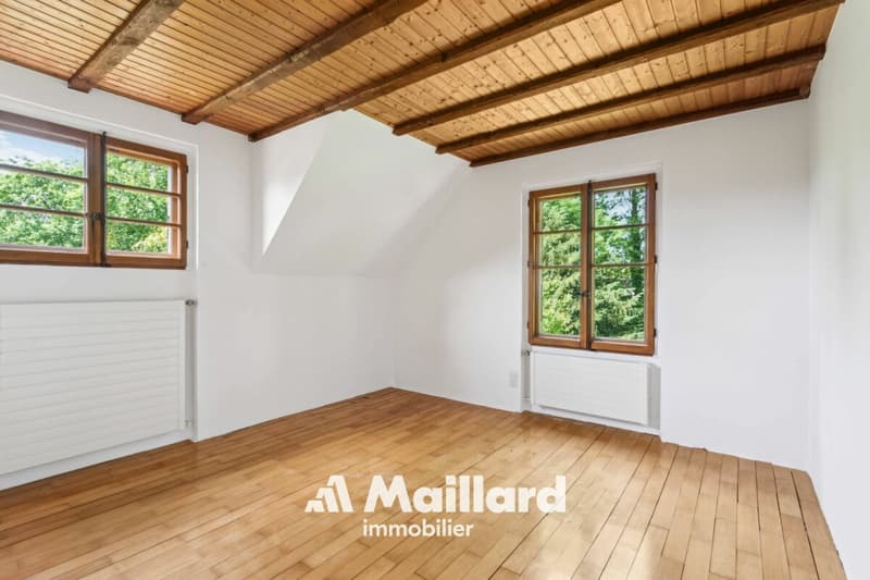 Un bien de caractère au potentiel exceptionnel, à deux pas du centre-ville (5)
