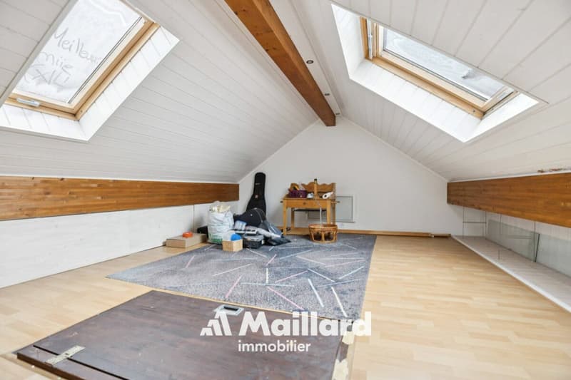 Un appartement familial aux volumes généreux au coeur du Vieux Bourg de Gland (13)