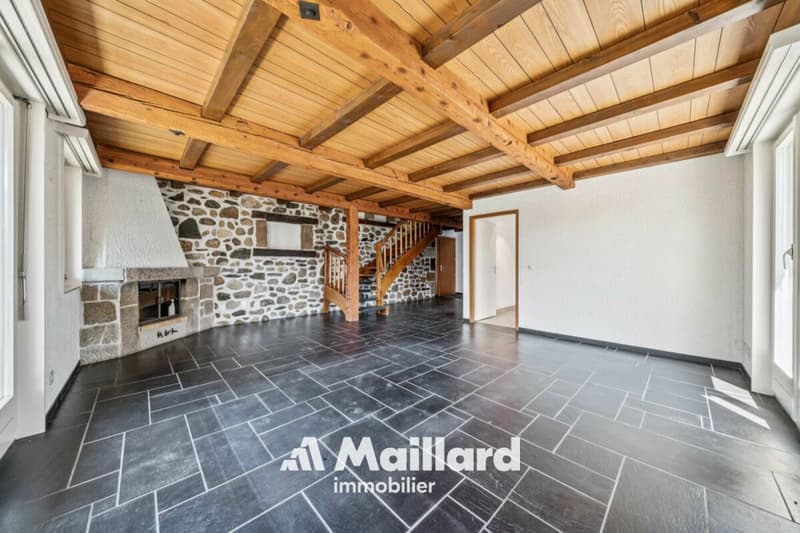 Un appartement familial aux volumes généreux au coeur du Vieux Bourg de Gland (1)