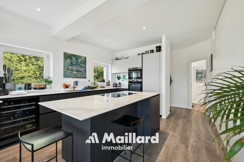 Superbe attique contemporain doté d'une terrasse privative de plus de 100 m² (6)