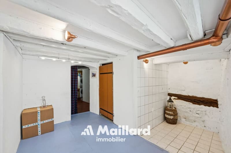 Charmante maison de village au coeur du Vieux Bourg d'Aubonne (9)