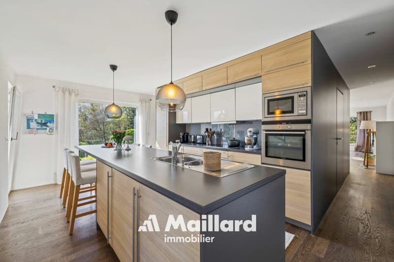Villa individuelle contemporaine de 5.5 pièces (5)