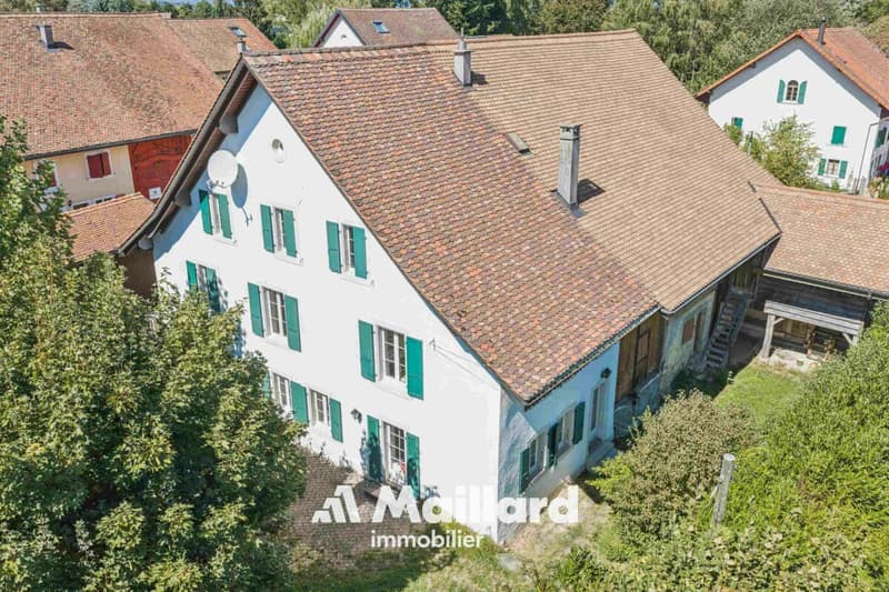 Authentique ferme de 5.5 pièces avec grange sur une vaste parcelle de 2'309 m2 (2)